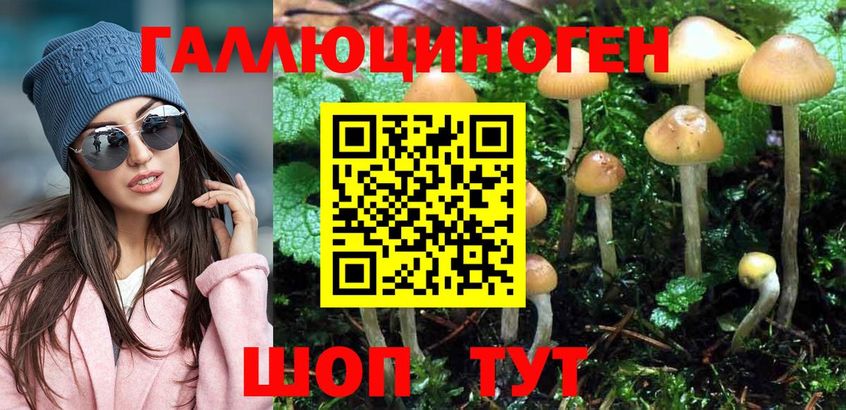 Псилоцибиновые грибы мицелий Кирово-Чепецк